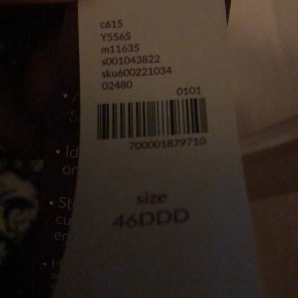 Bras - Picture 6 of 7